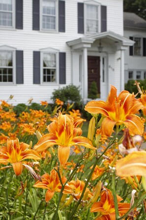 Property grounds - The Scranton Seahorse Inn (Madison)