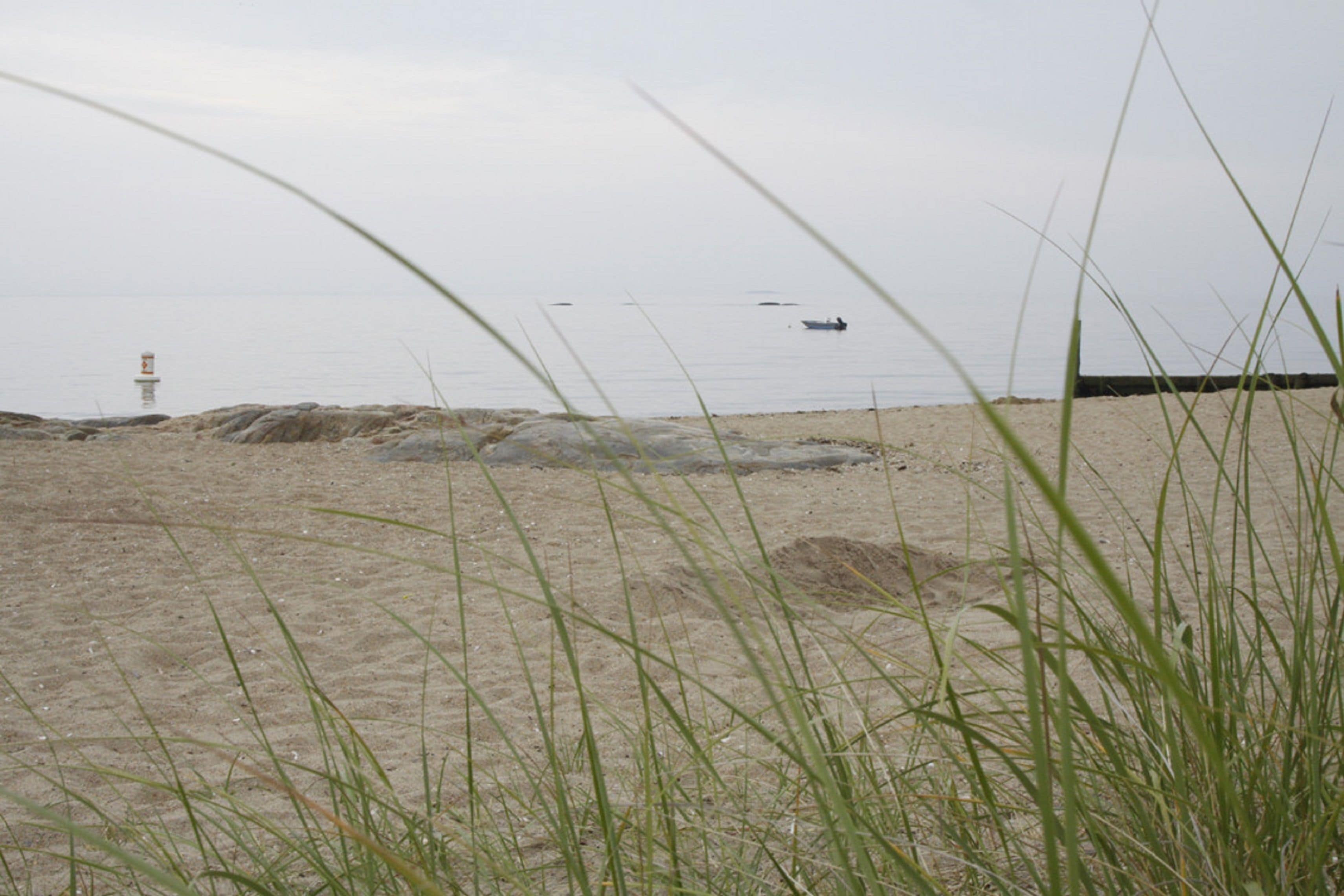 Vista desde la propiedad