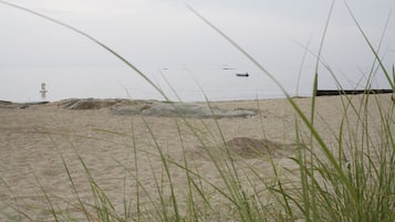 Vue depuis l’hébergement