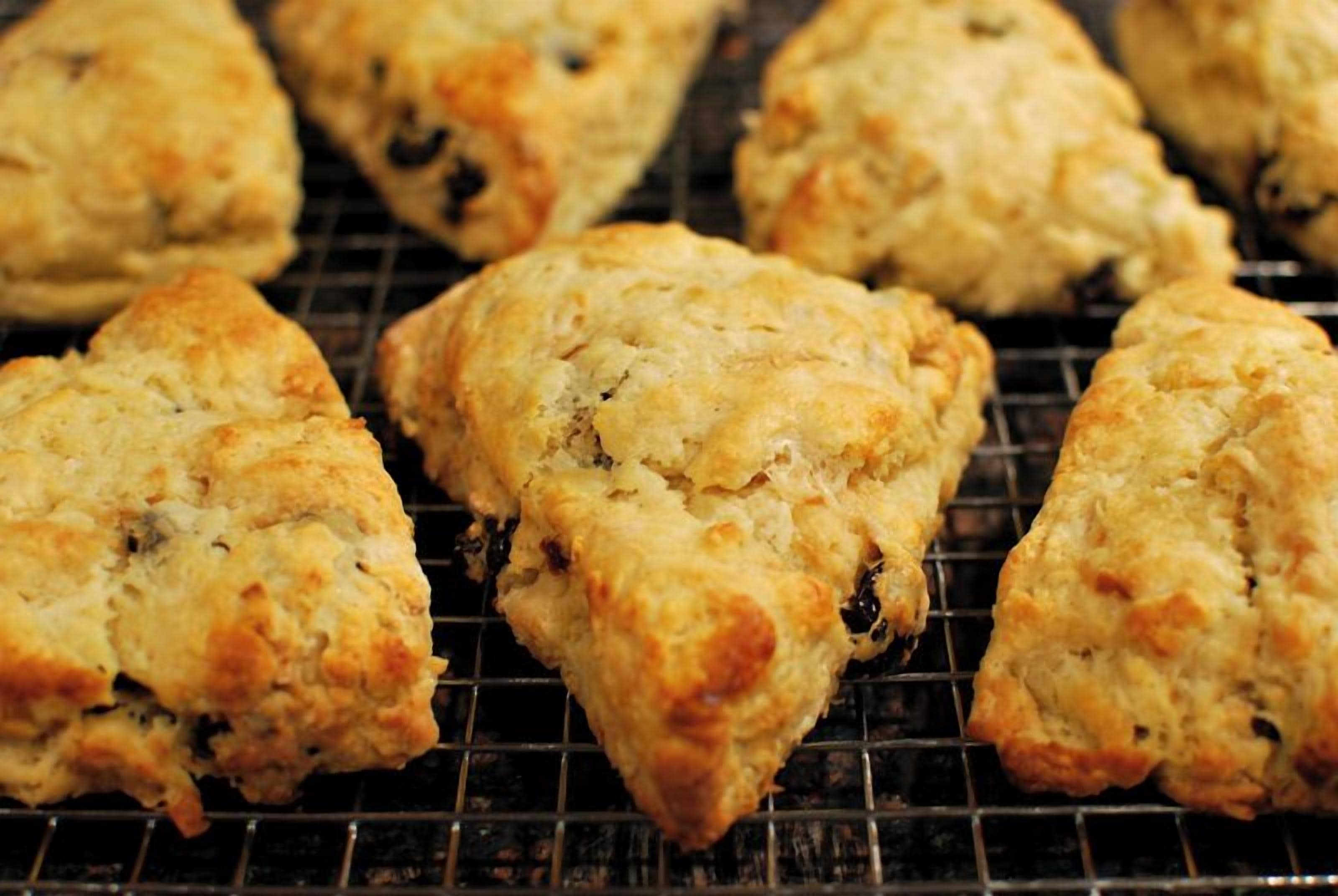A close-up of freshly baked scones on a cooling rack.