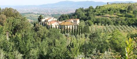 A rural landscape with a cluster of traditional buildings surrounded by dense greenery and trees.
