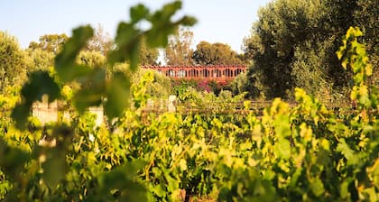 Ryad des Vignes