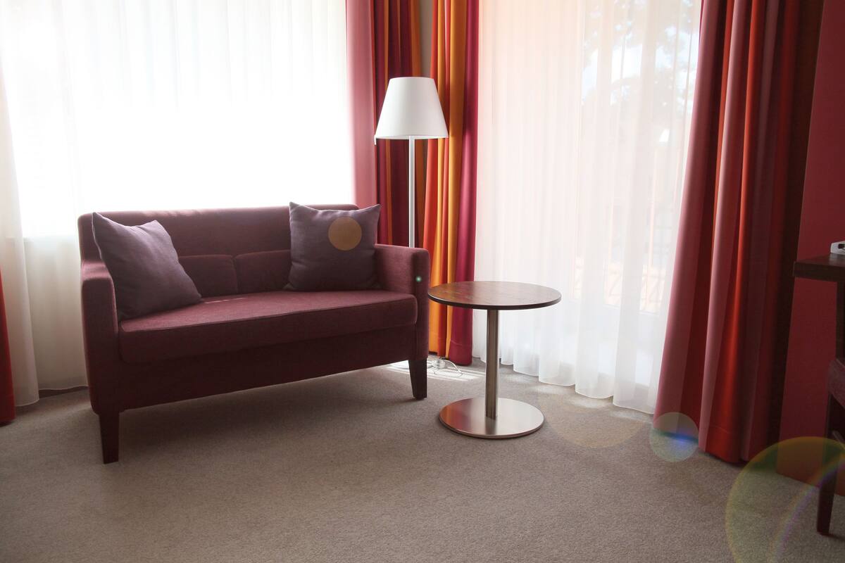 single room | in-room safe, desk, soundproofing, wifi