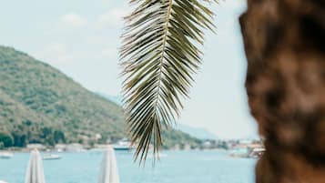 Playa privada en los alrededores y traslado desde/hacia la playa