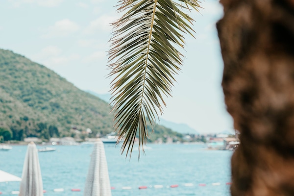 Private beach nearby, beach shuttle, sun loungers, beach umbrellas