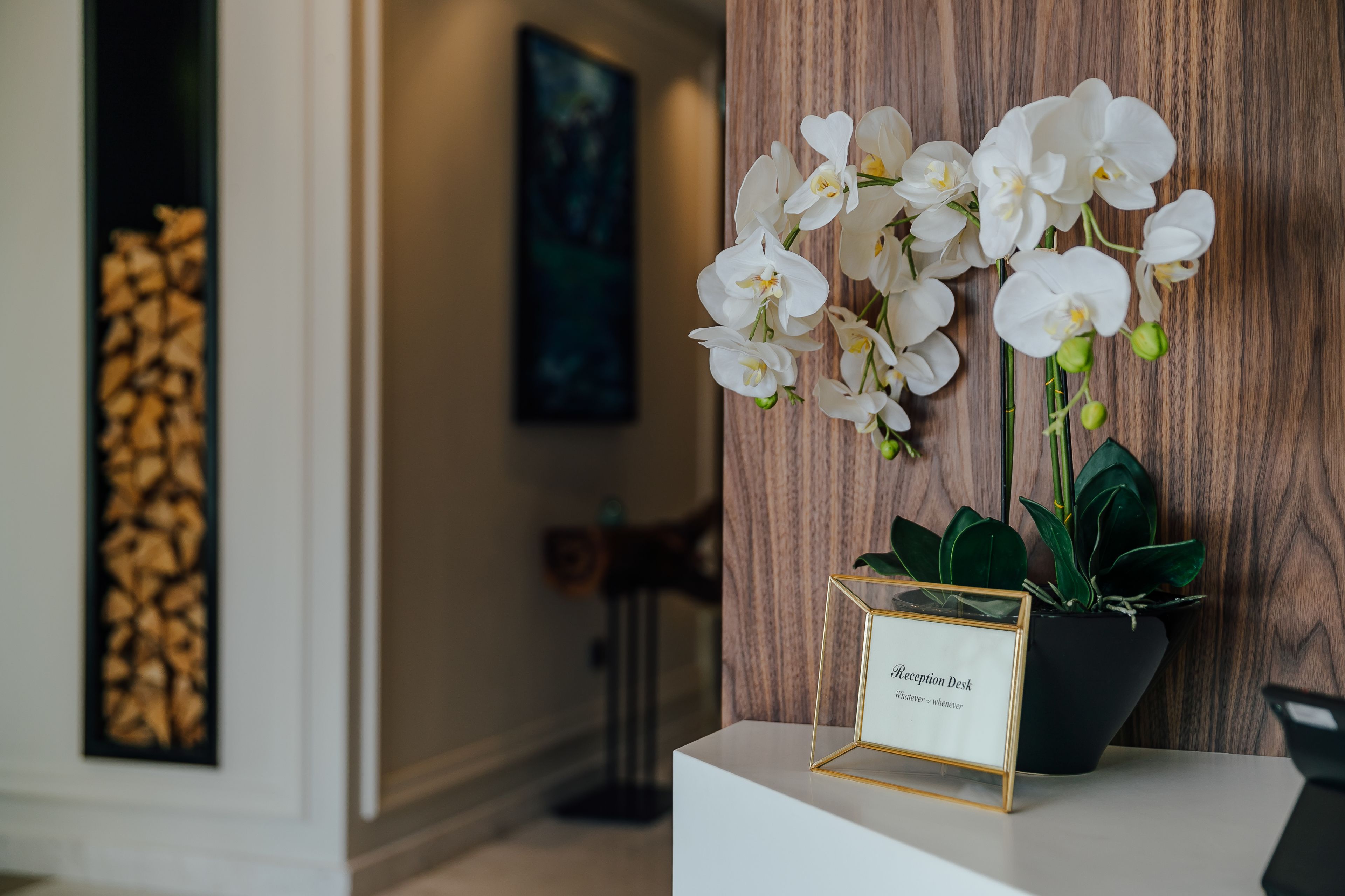 A reception desk with a sign, white orchids, and a potted plant.
