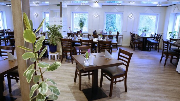 A spacious restaurant with multiple tables and chairs, potted plants, and large windows allowing natural light. - Waldhotel Wilhelmshöhe (Freudenberg)