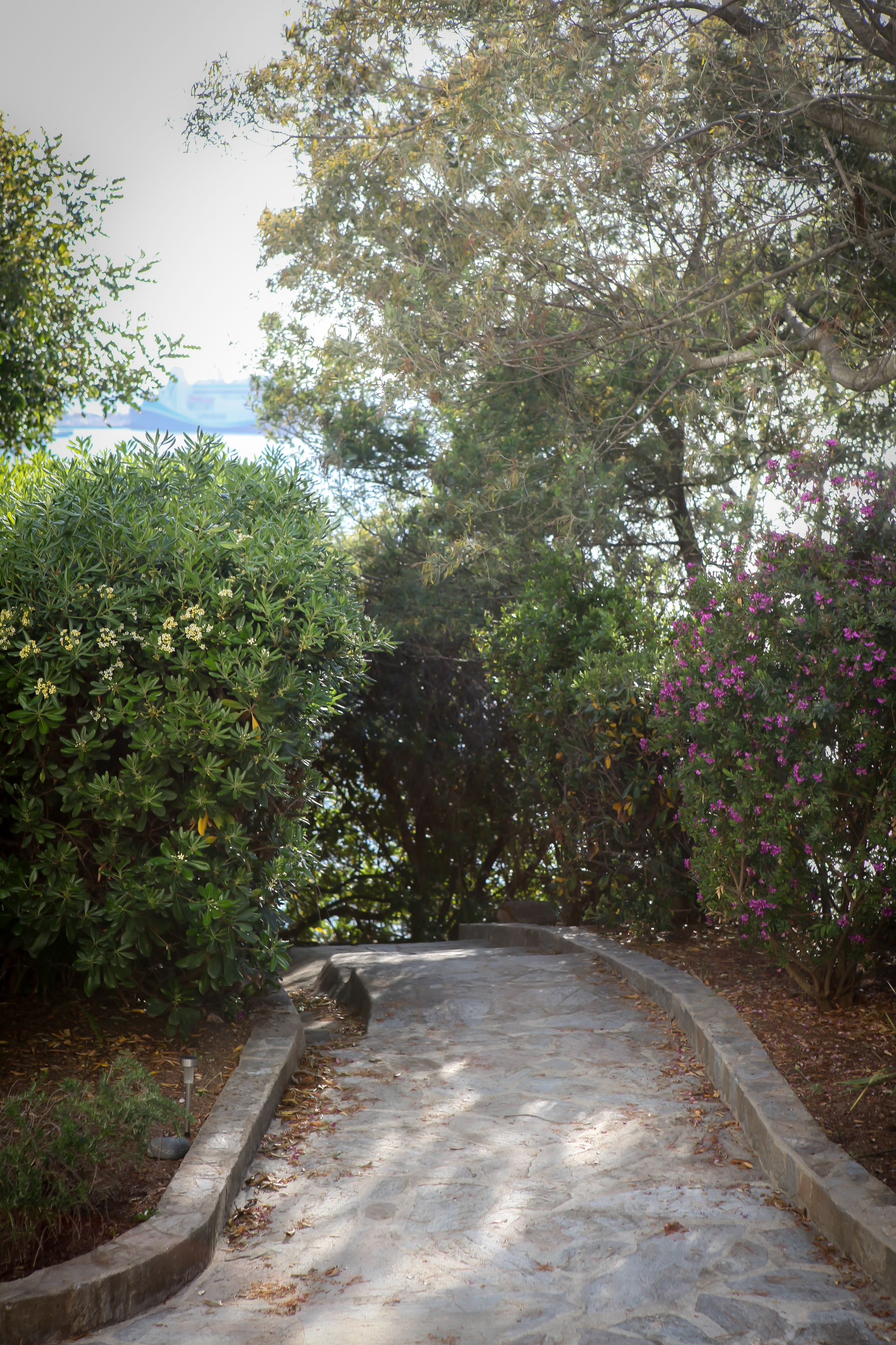private beach, beach bar