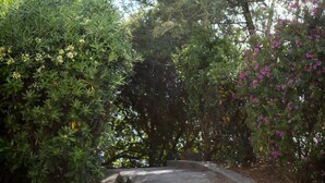 A stone pathway surrounded by lush greenery and flowering plants. - Hôtel Roc e Mare (Propriano)
