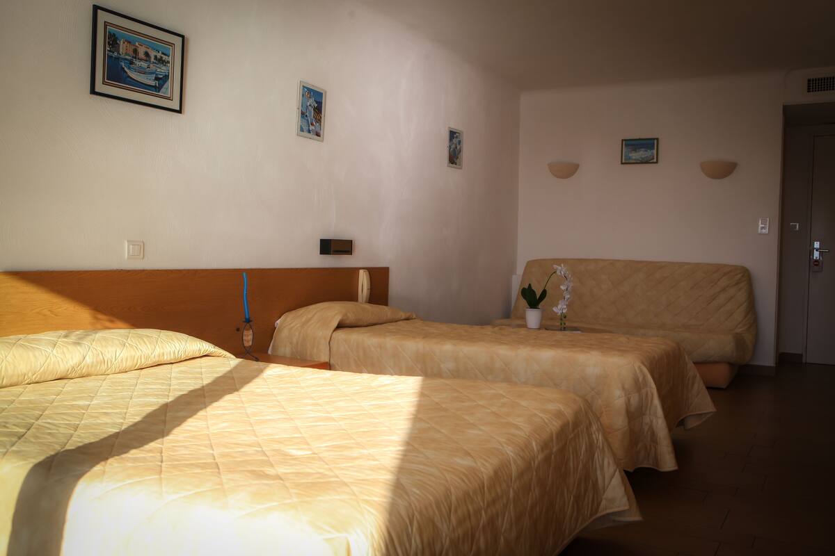 Habitación de hotel con dos camas, una planta en maceta y obras de arte colgadas en la pared.