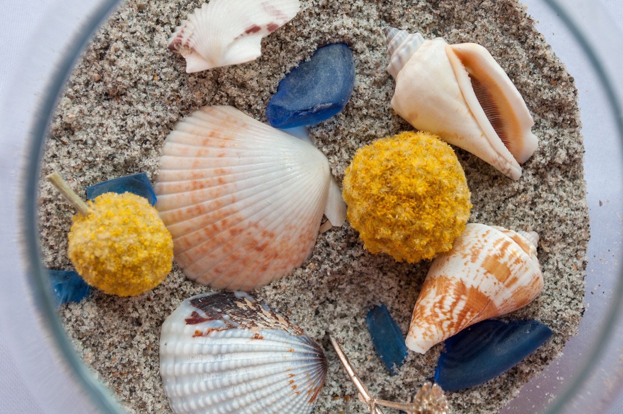 Nahaufnahme verschiedener Muscheln und eines blauen Steins in einem Glasbehälter, gefüllt mit Sand.