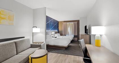 Comfort Suites Simpsonville - Greenville