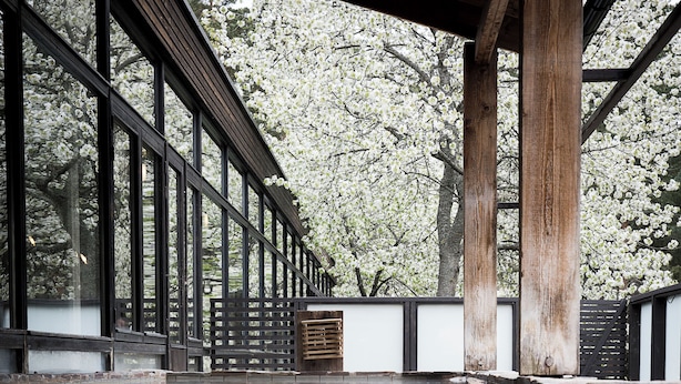 Edificio japonés tradicional con superficie acuática reflectante, pilares de madera y vista a flores de cerezo.