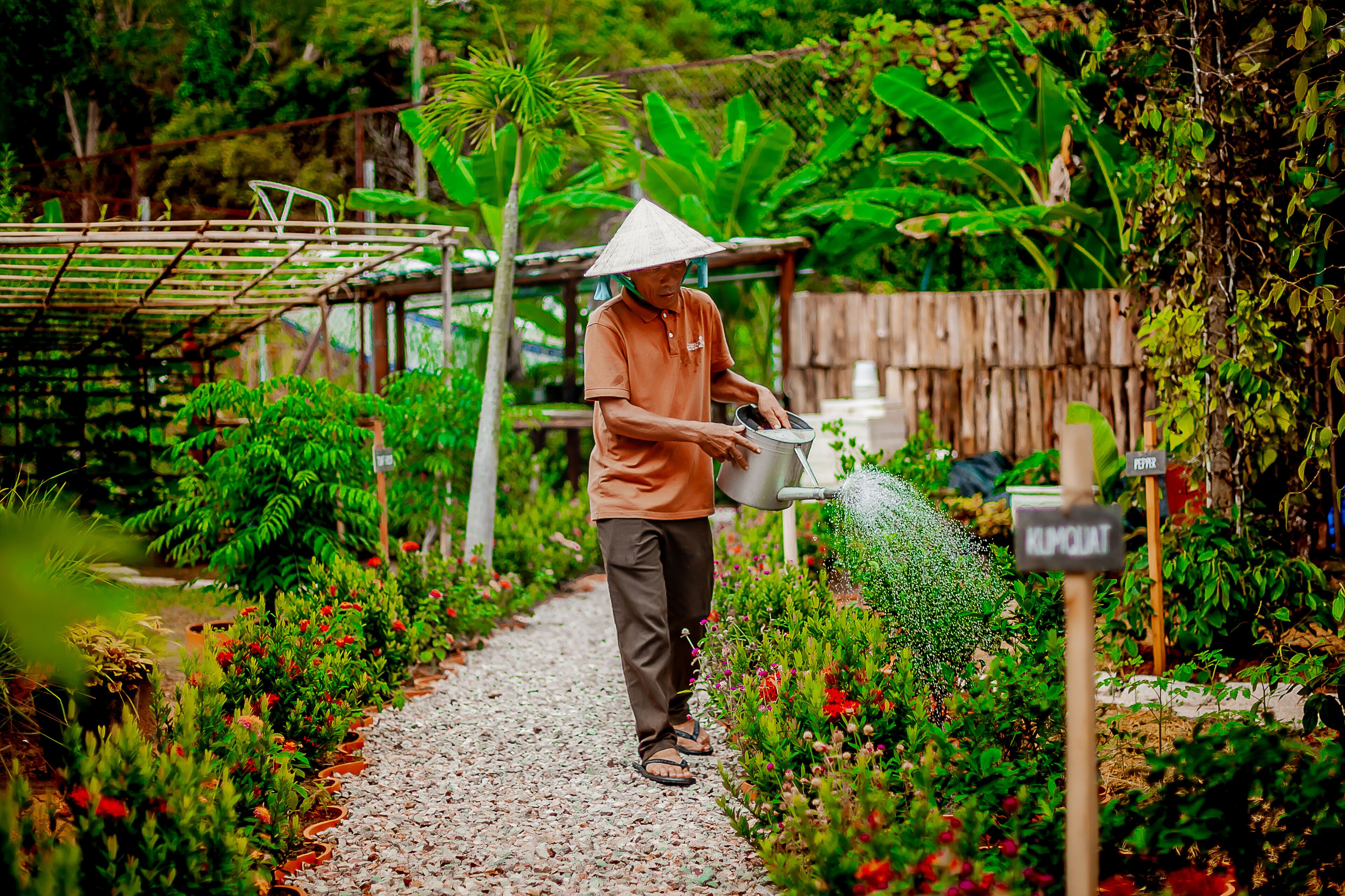 Una persona riega plantas en un jardín con diversas flores y vegetación.