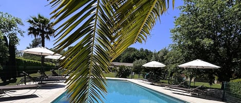 Une piscine entourée de palmiers et d’une clôture, avec des chaises longues et des parasols.