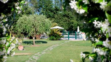 الإطلالة من المنشأة