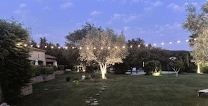A well-maintained garden with a pathway, potted plants, and string lights.