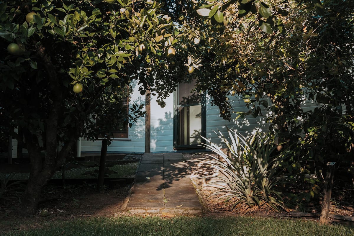 Un chemin menant à une maison entourée d’arbres et de plantes.