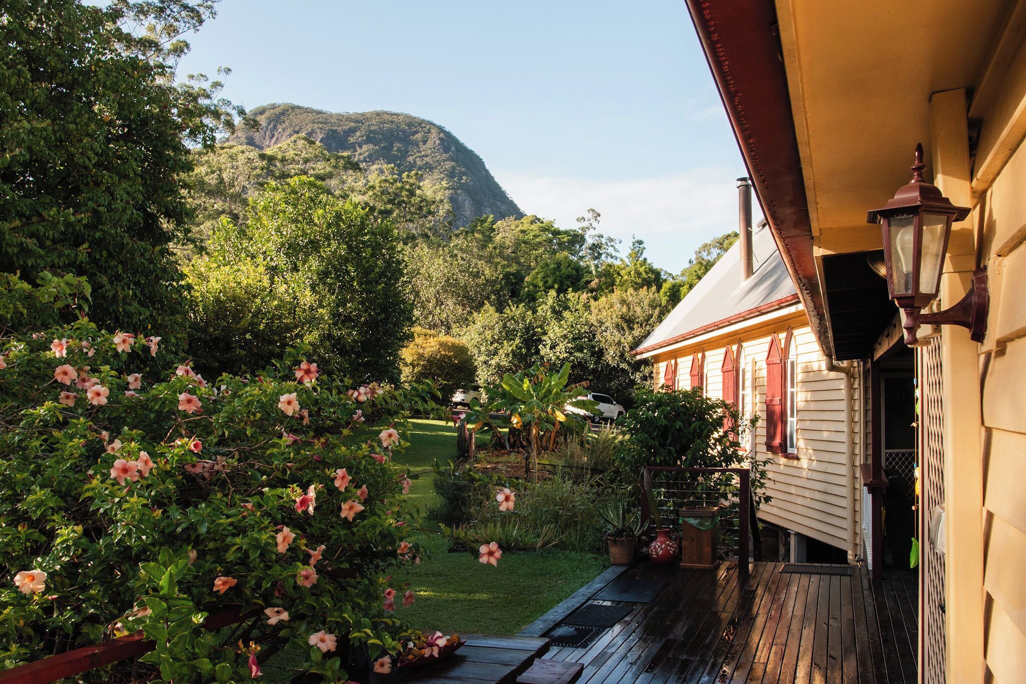 A house with a porch, a garden with pink flowers, and a mountain in the background.