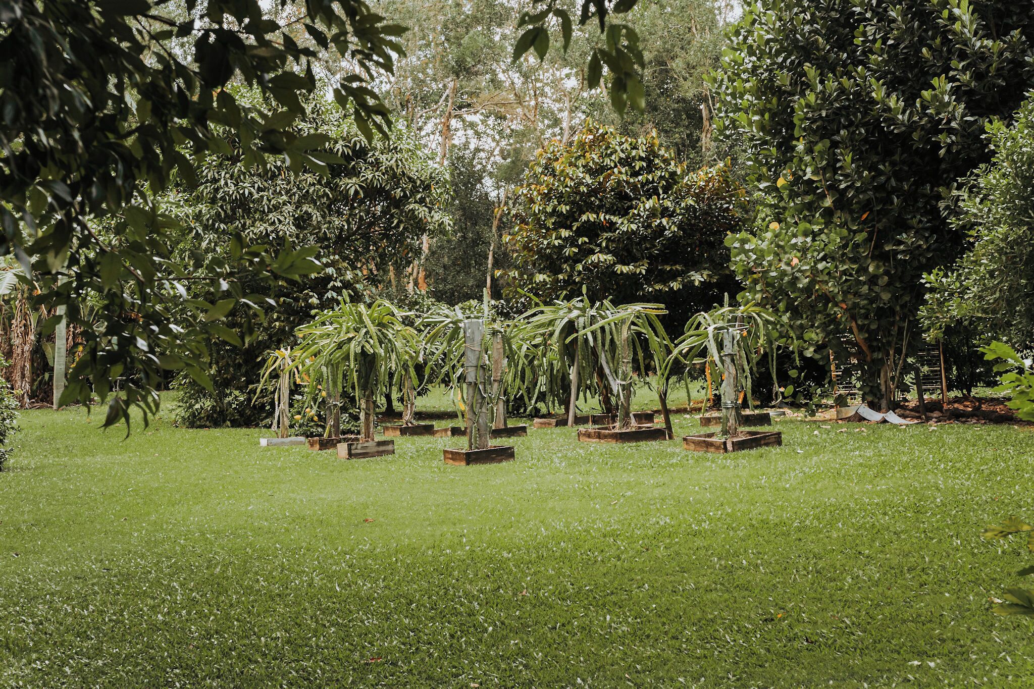 Pemandangan taman