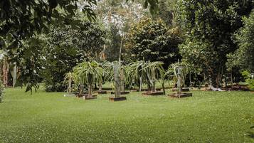 Pemandangan taman