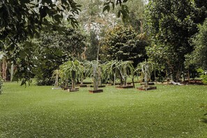 Garden view - Glasshouse Mountains Ecolodge (Glass House Mountains)