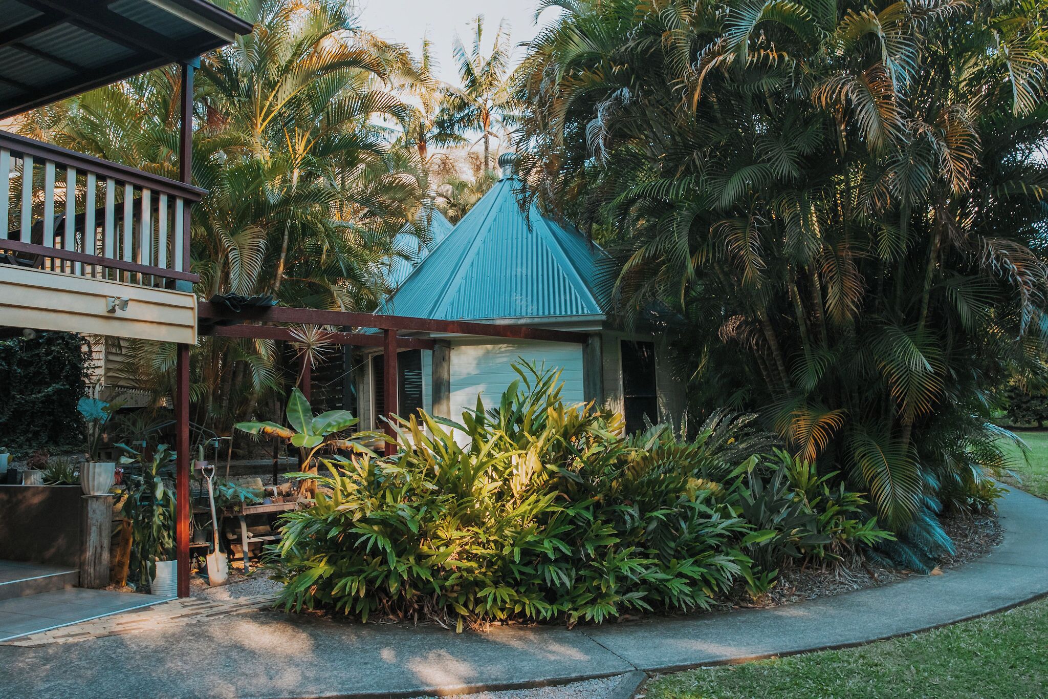 A small house with a blue roof, surrounded by lush tropical vegetation and a wooden deck.