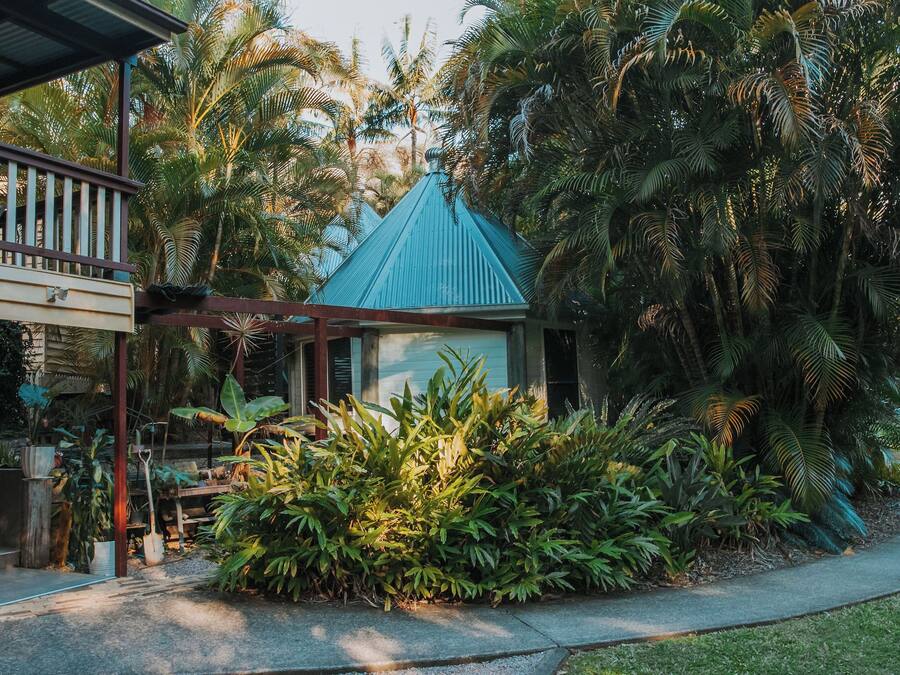 A small house with a blue roof, surrounded by lush tropical vegetation and a wooden deck.