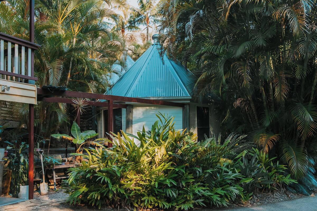 Une petite maison avec un toit végétalisé, entourée d’une végétation tropicale luxuriante.