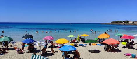 Plage à proximité, sable blanc, pêche sur place