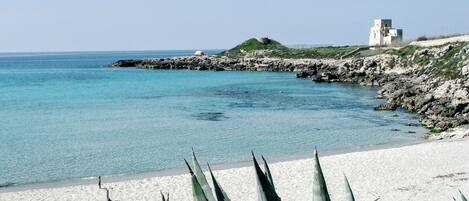 Una spiaggia nelle vicinanze, sabbia bianca, pesca