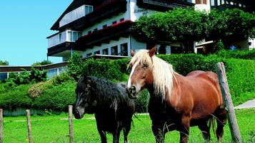 Majoituspaikan julkisivu