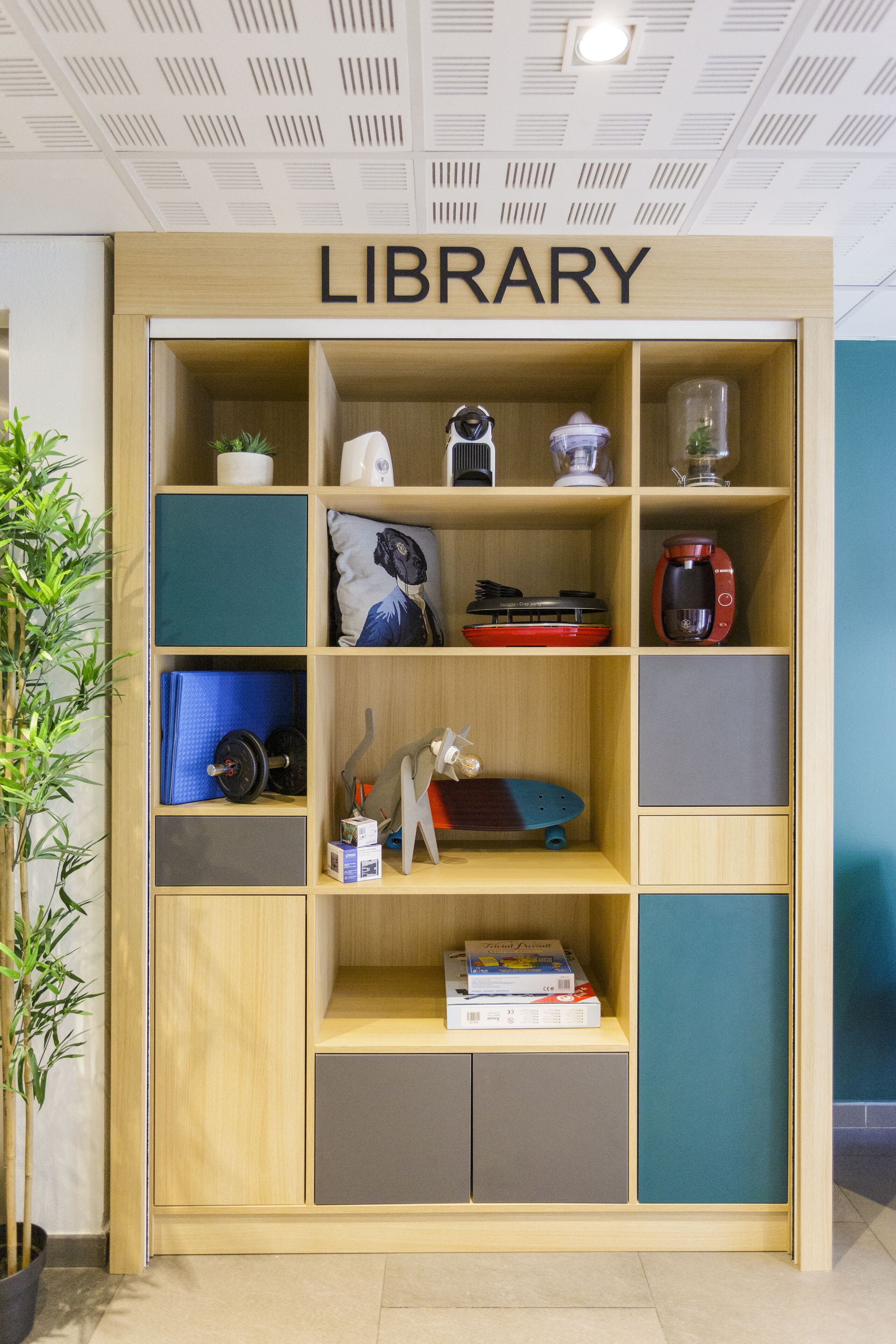 A library with wooden shelves, a ceiling with a grid pattern, and a potted plant on the left.