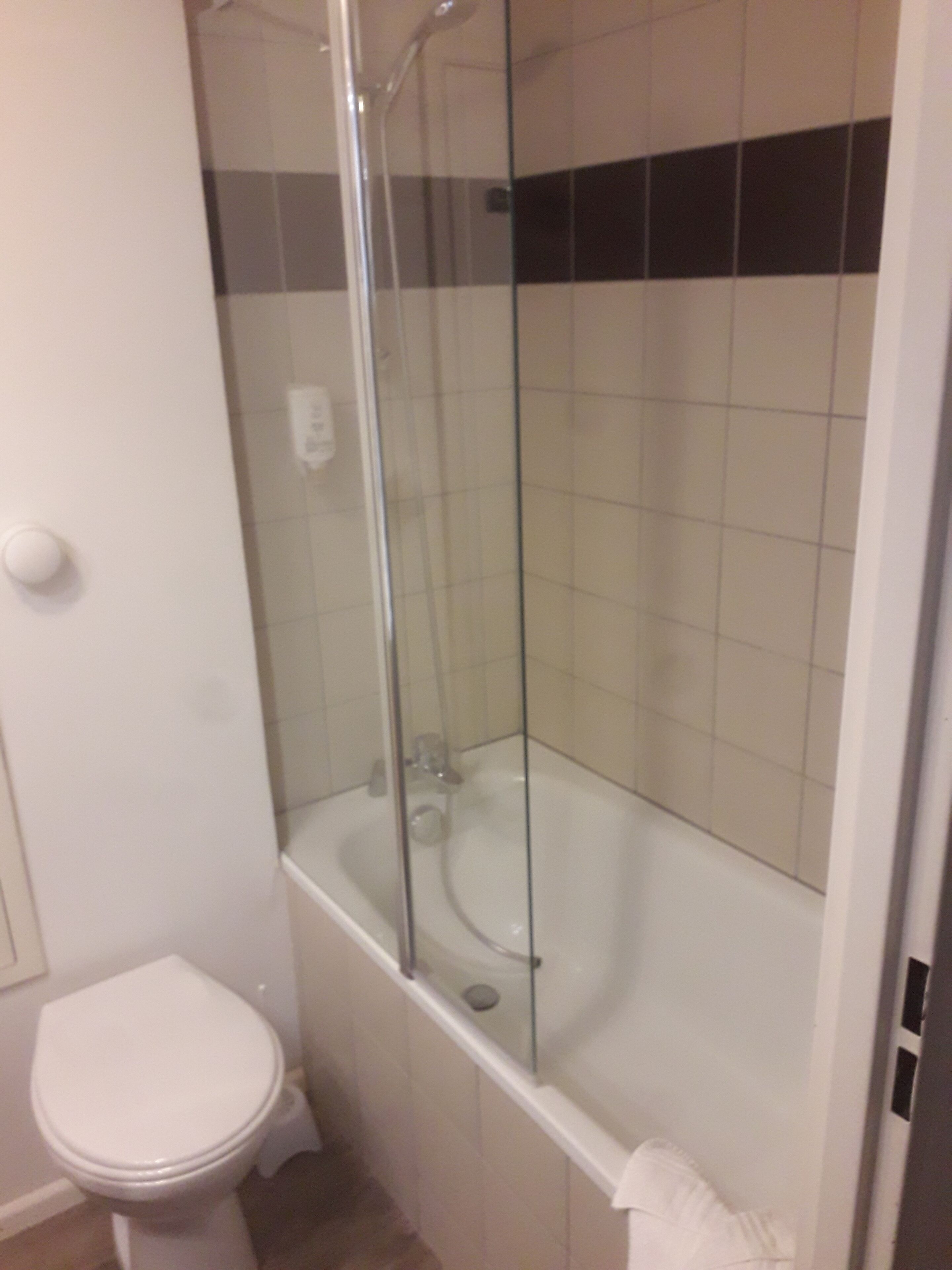 Een badkamer met een douche met glazen wand, een wit toilet en een bad.