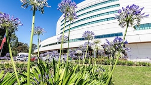 A modern hotel building with a curved facade, multiple windows, and a well-maintained garden with purple flowers in the foreground. - Sonesta Hotel Osorno (Osorno)