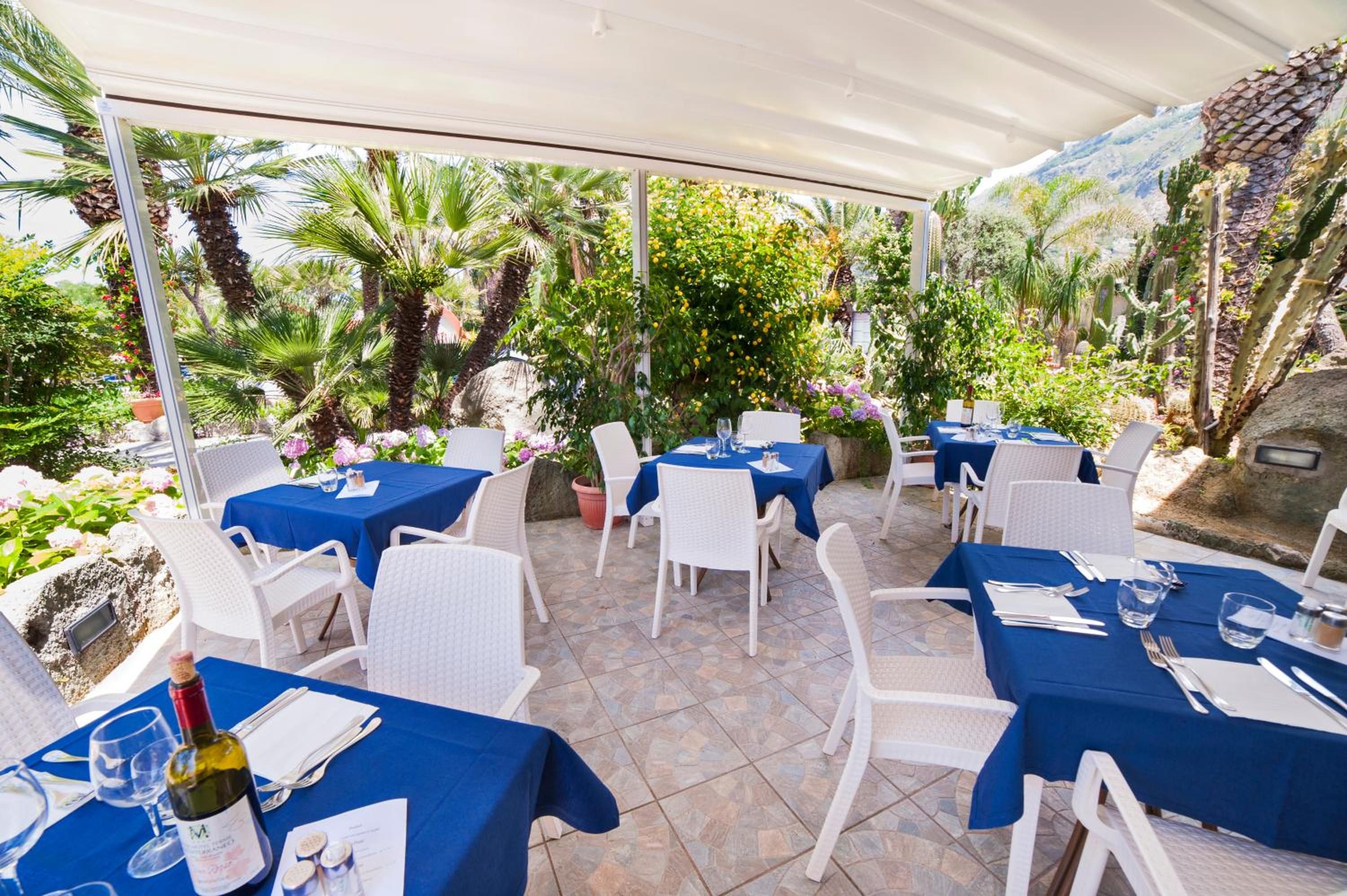 An outdoor dining area with tables covered in blue tablecloths, white chairs, and a variety of plants and cacti in the background.