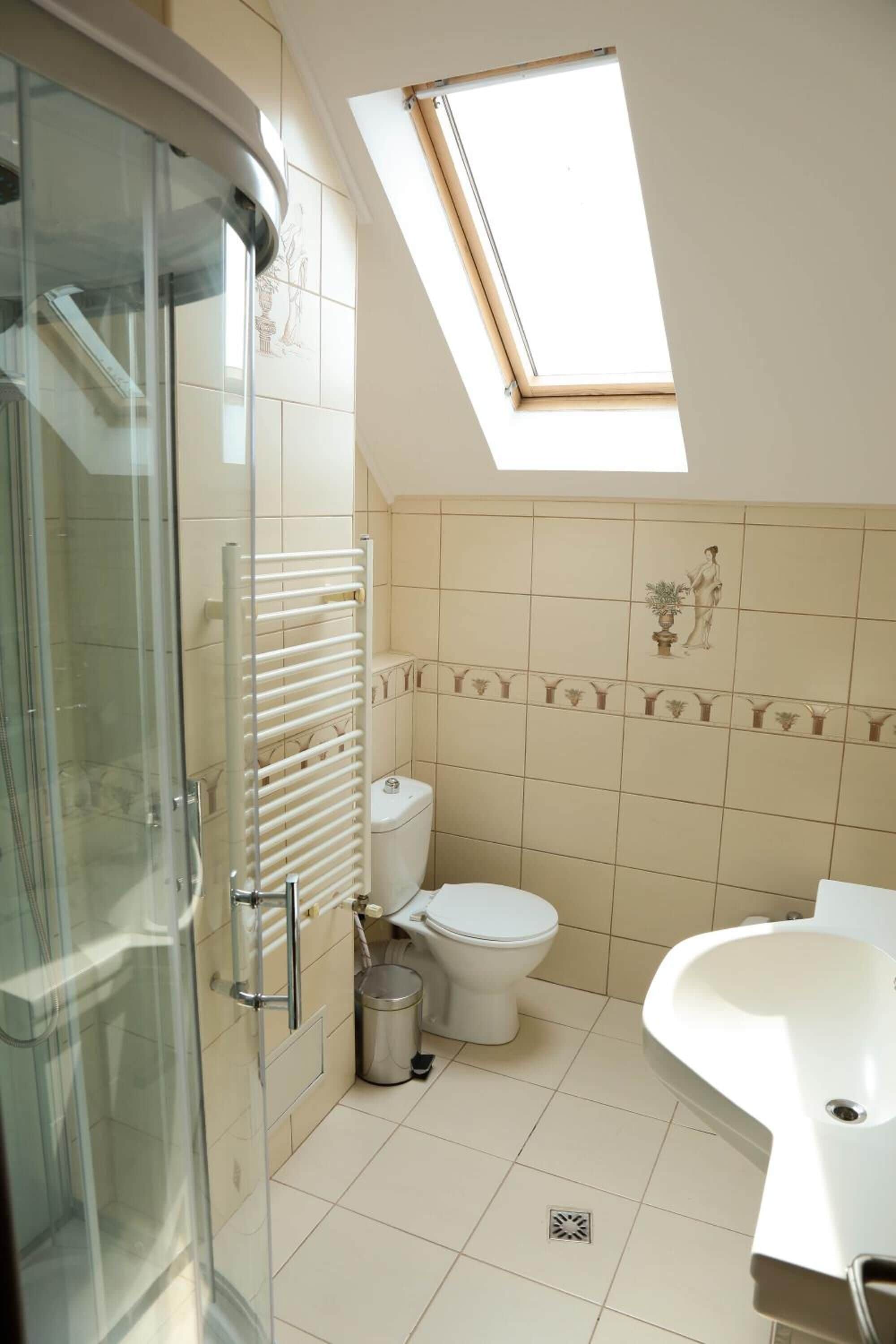 A bathroom with a skylight, a glass shower enclosure, a toilet, and a sink.
