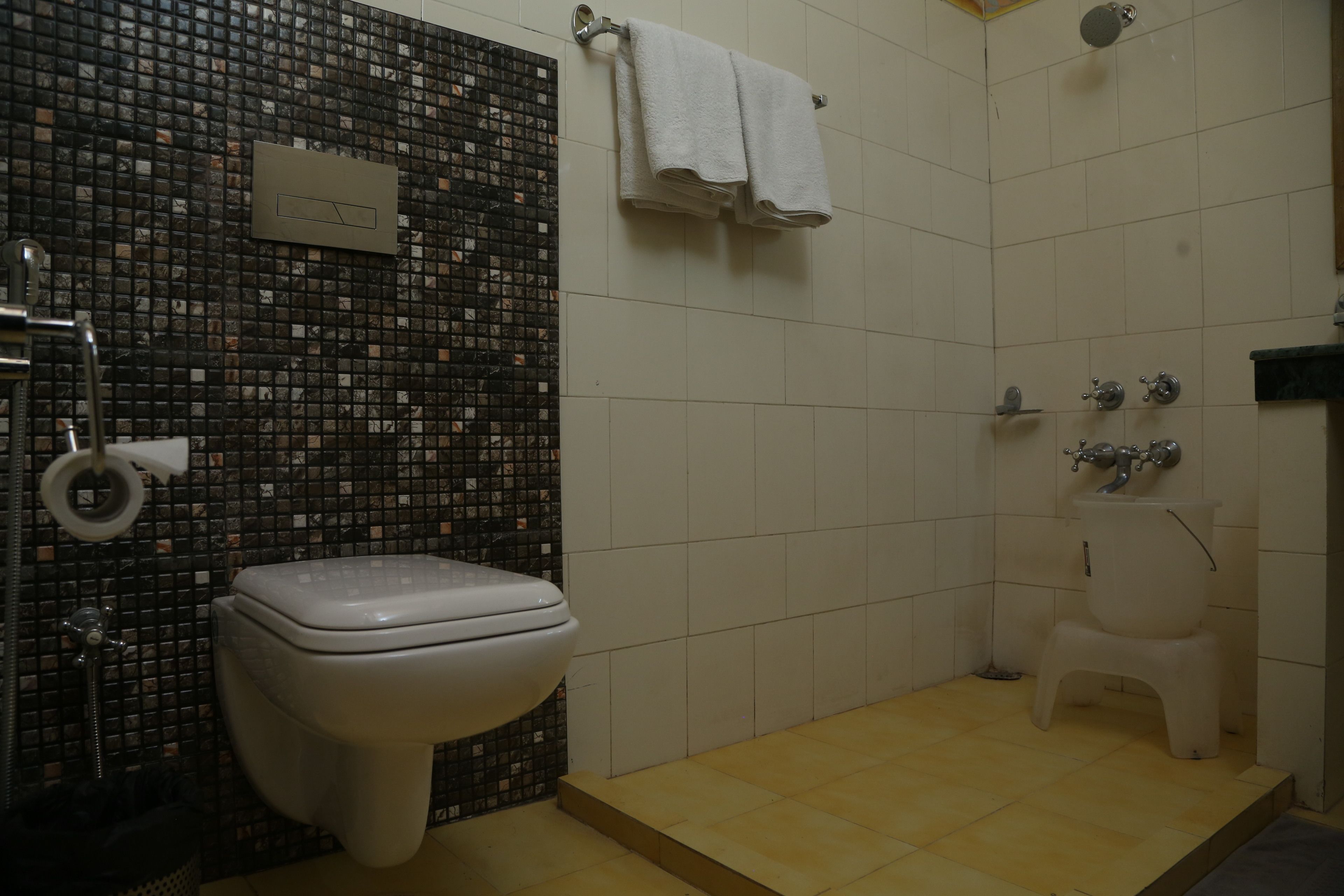 A bathroom with a toilet, a shower, and a small step leading to a toilet.