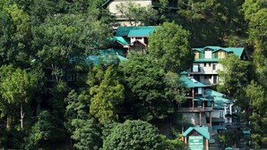 A cluster of buildings with green roofs nestled in a forested area, surrounded by dense trees. - Winnies (Kasauli)