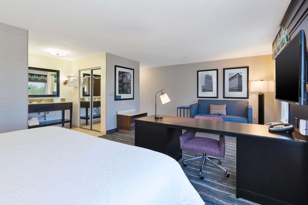 1 king bed studio suite sofabed ns | 1 bedroom, in-room safe, desk, iron/ironing board