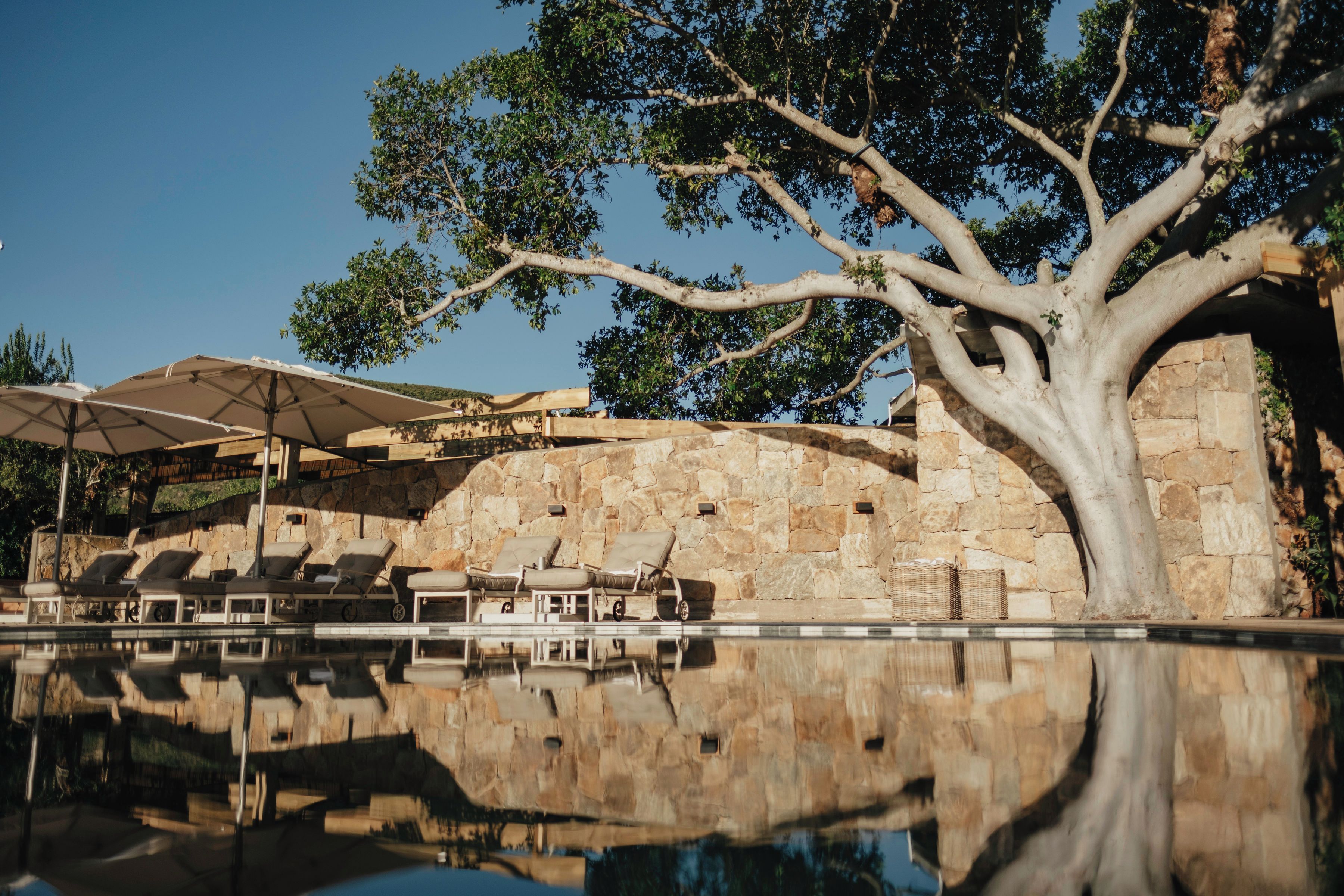 Un área de piscina con sillones de descanso y sombrillas, un muro de piedra y un árbol grande.