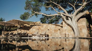 Un área de piscina con sillones de descanso y sombrillas, un muro de piedra y un árbol grande.