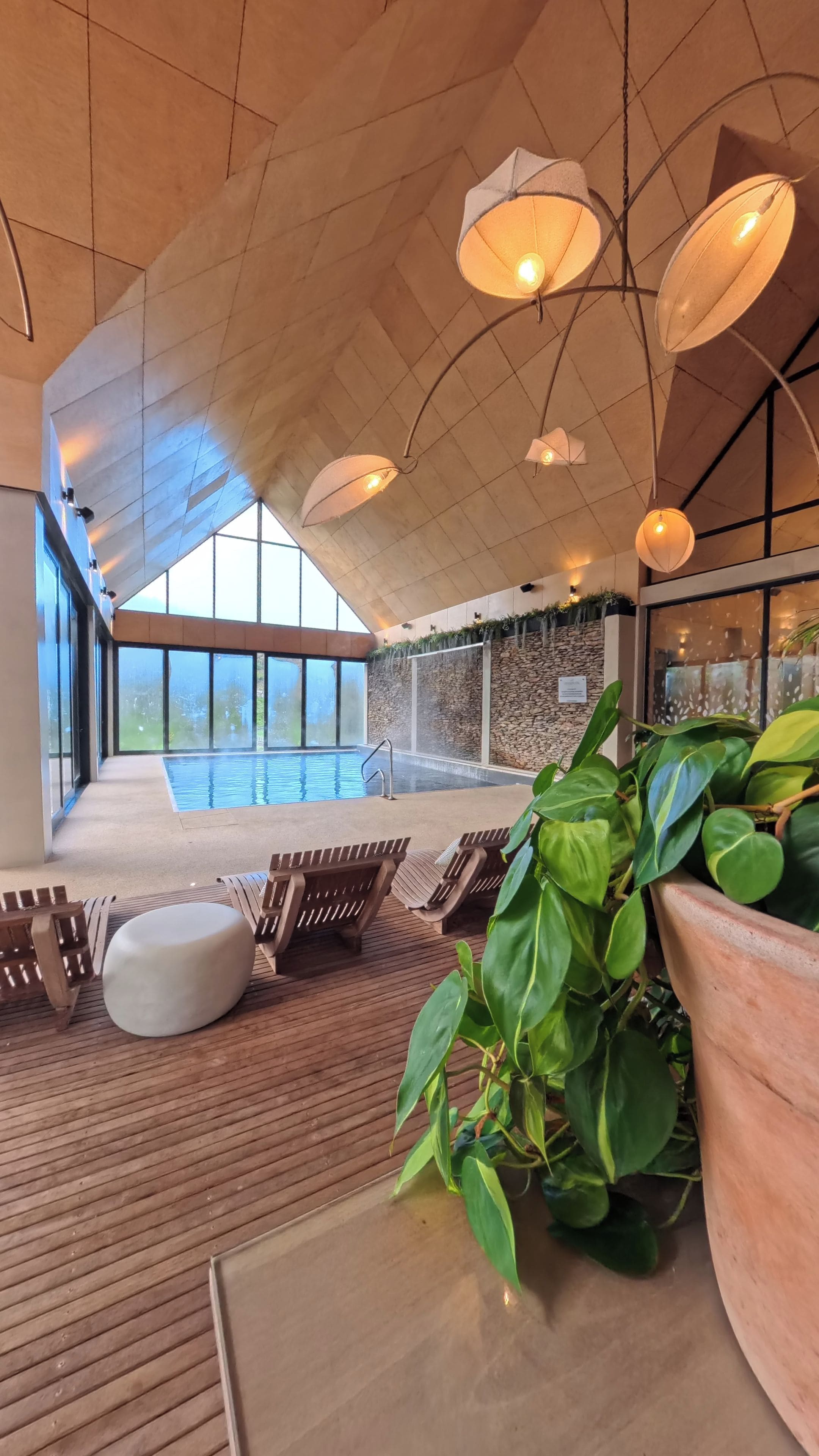 Ein Poolbereich im Innenbereich mit Holzterrasse, einer großen Kübelpflanze und einer Steinwand.