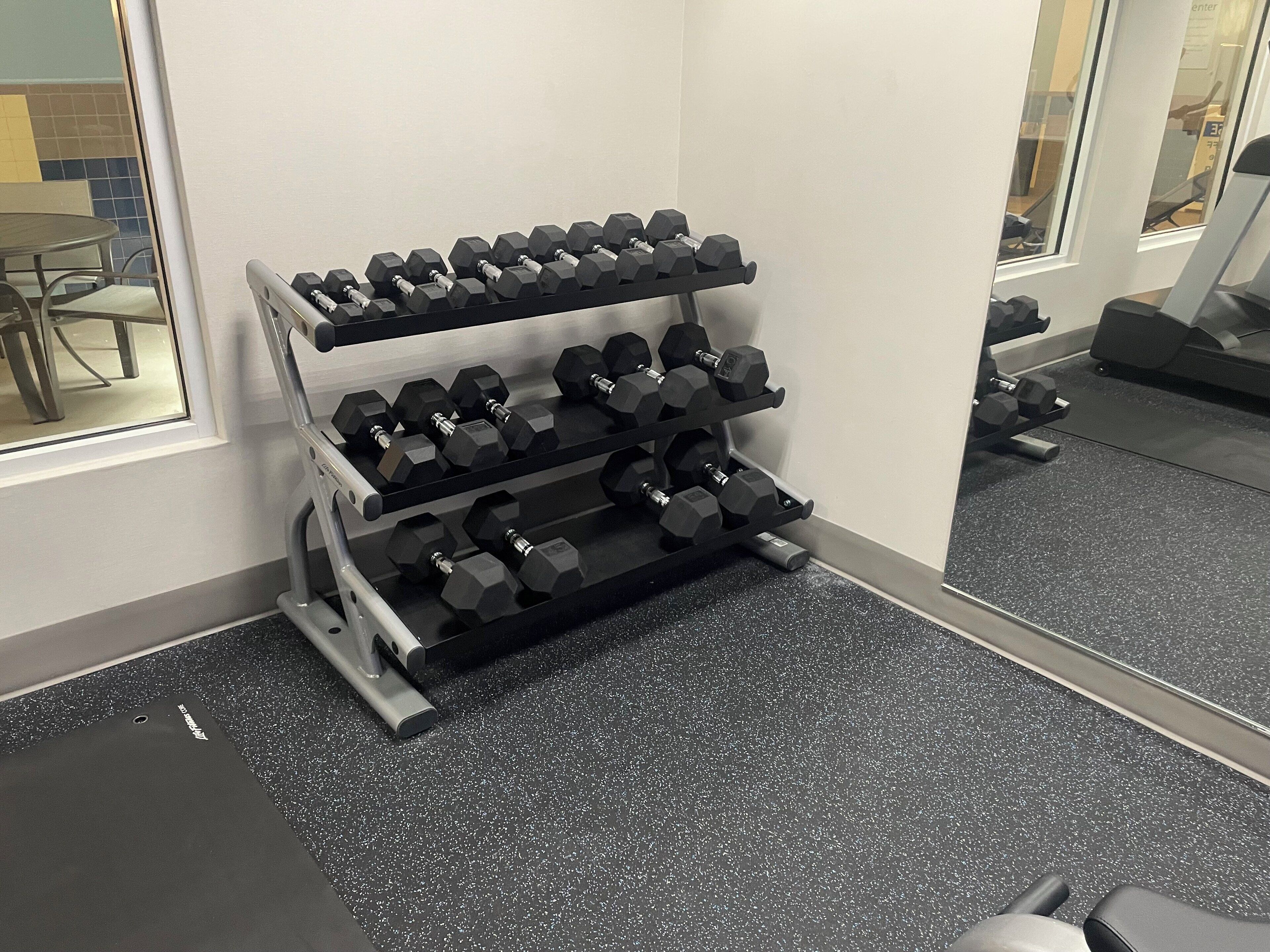 Un gimnasio con un banco de pesas mancuernas y una cinta de correr al fondo.