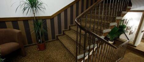 Una escalera con barandilla de madera, peldaños alfombrados y una planta en maceta a un lado.