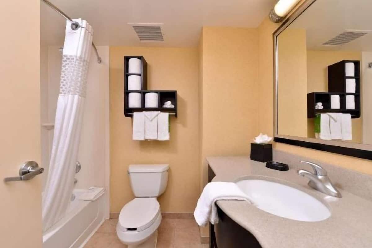 Bathroom | Combined shower/tub, free toiletries, hair dryer, towels