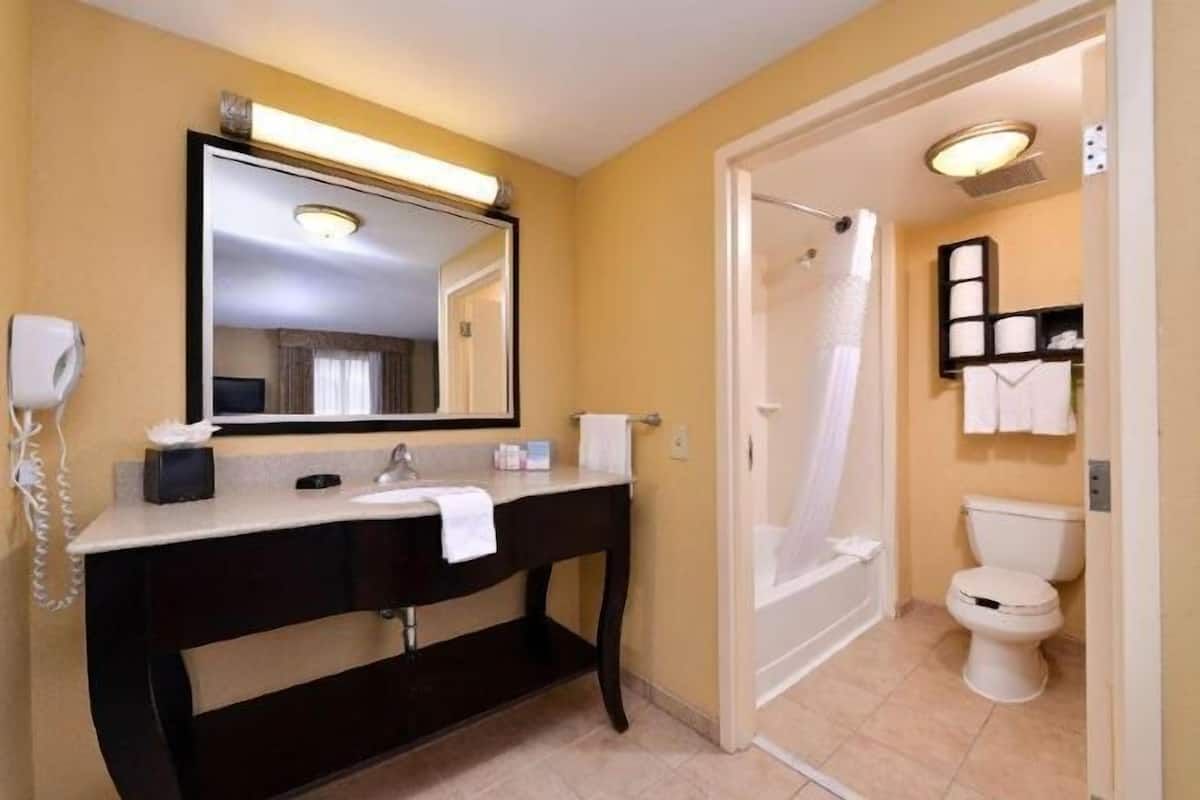 Bathroom | Combined shower/tub, free toiletries, hair dryer, towels