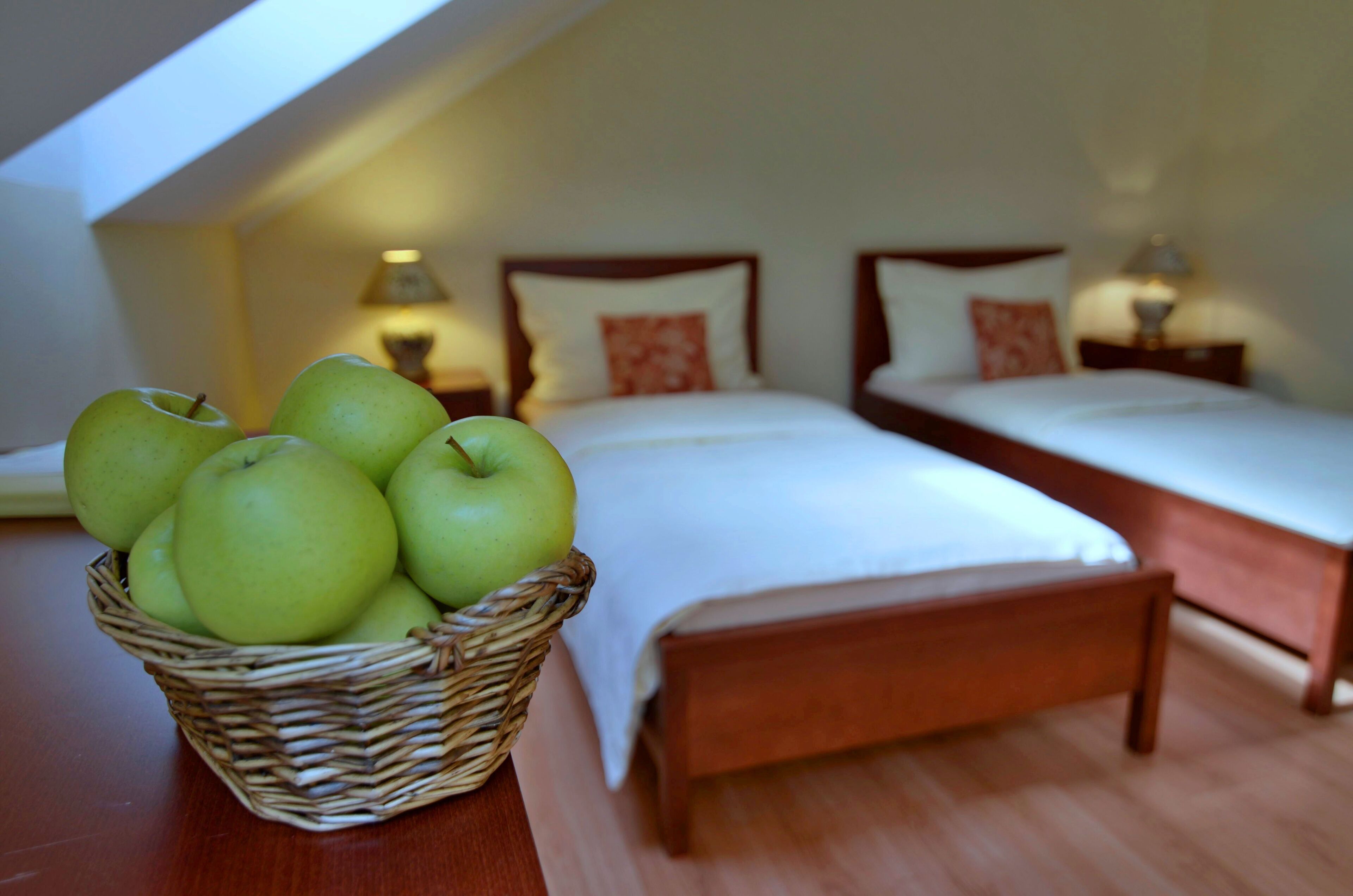 Foto - Eco friendly Hotel Dalia