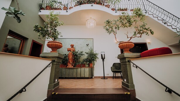 Un escalier avec une balustrade, un lustre et des plantes en pot.