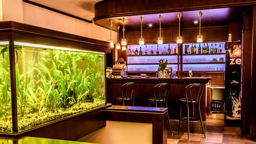 Eco friendly Hotel Dalia